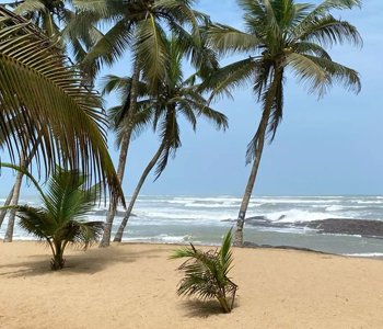 Tropical beach and ocean